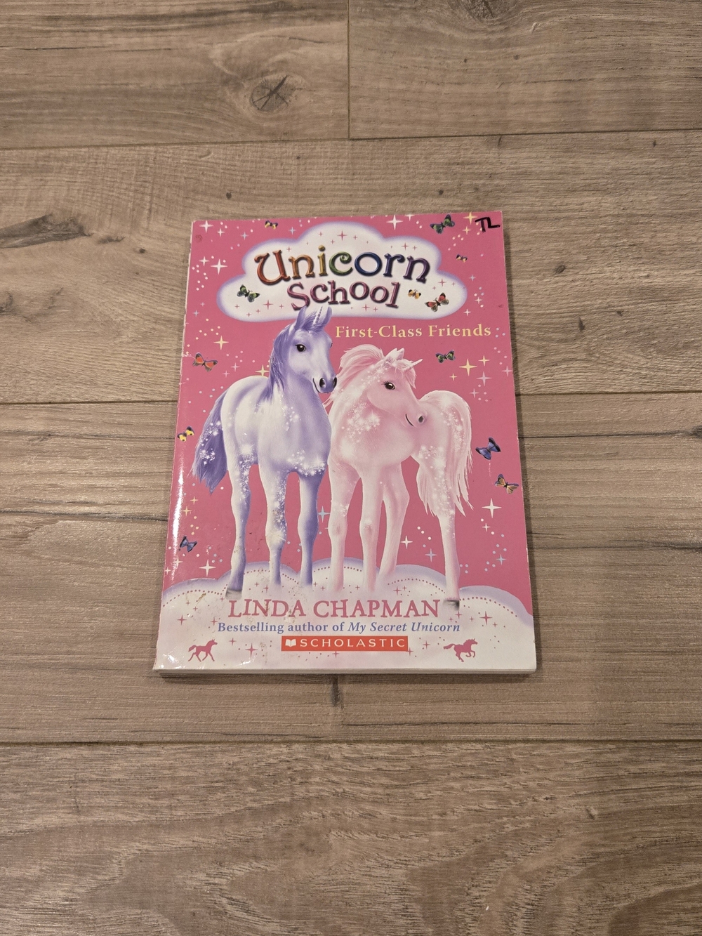📚 Unicorn School First Class Friends Linda Chapman Book 1 Kids Chapter Book 🦄